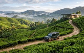 Cameron Highlands 4x4 Guide: Mossy Forest, BOH Tea Estates & Highland Photography (Malaysia Day 6)