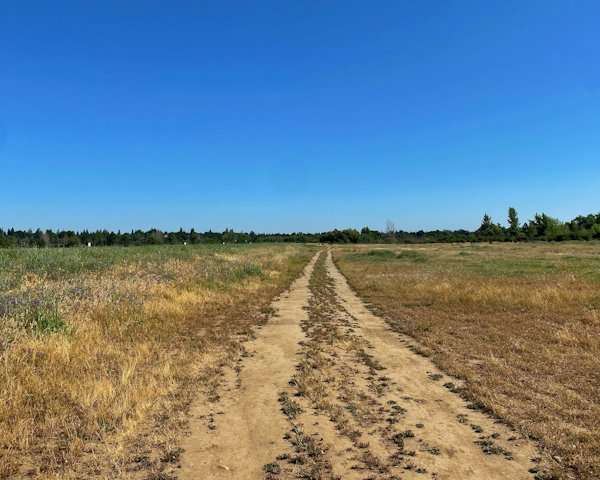 American River Parkway, Sacramento landmarks