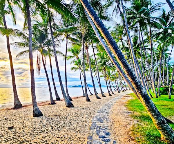 Palm Cove: A Serene Escape near Cairns Australia