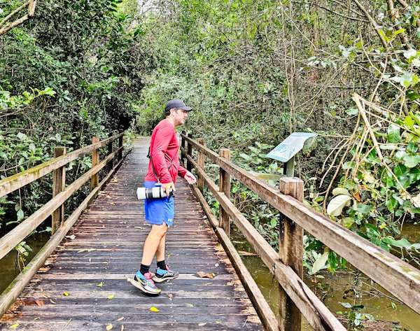 Daintree Rainforest, Cairns Australia