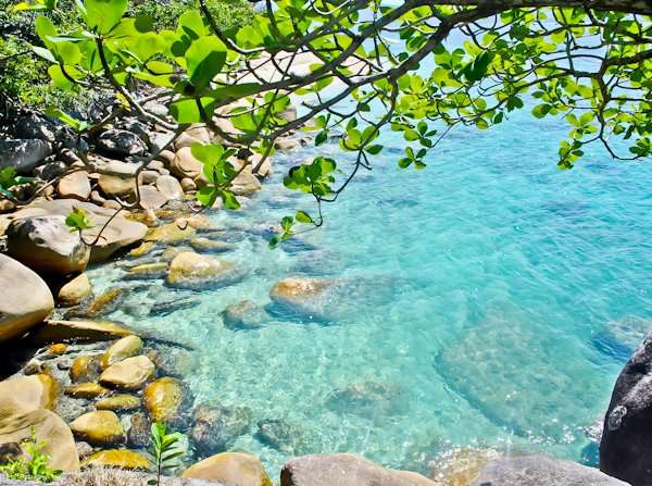 Fitzroy Island