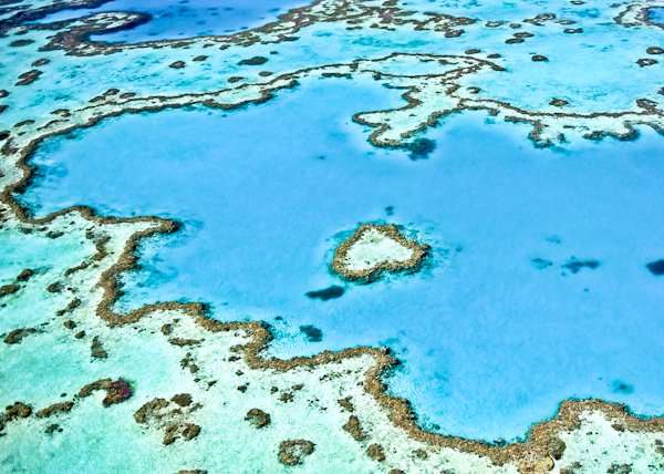 The Great Barrier Reef, Cairns Australia
