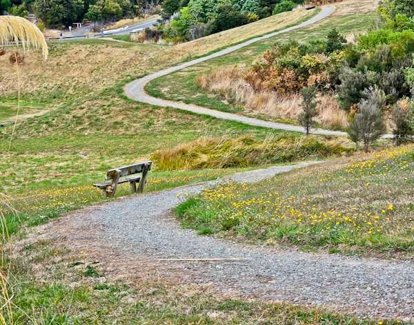 Picton, New Zealand Awaits Your Discovery