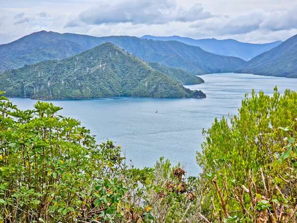 Marlborough Sounds: A Maritime Playground