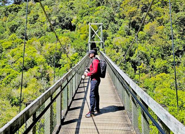 Zealandia: A Haven for Nature Lovers
