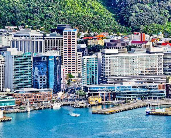 Wellington's Culinary Scene: A Foodie's Delight
