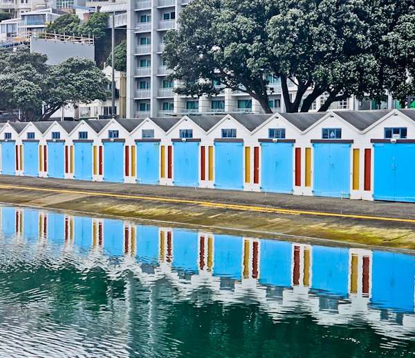 Oriental Bay: Wellington's Golden Beach