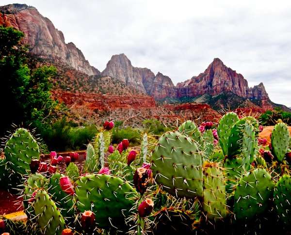 Hidden Gems: Kolob Canyons