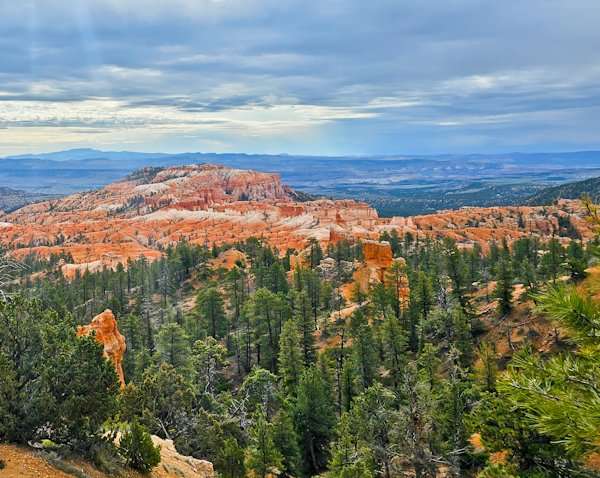 Ponderosa Canyon: A Forest Among Rocks