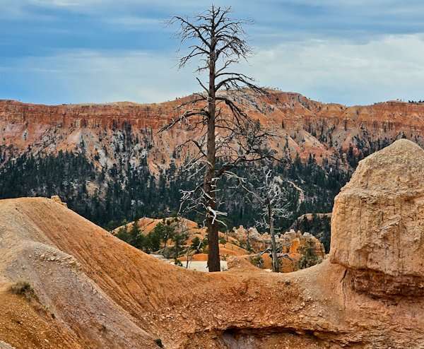 Yovimpa Point: A Glimpse into the Wild - Bryce Canyon Attractions