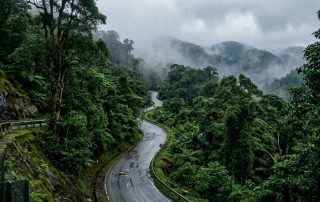Kuala Lumpur to Cameron Highlands Overland: Mountain Bus Logistics & Tanah Rata Arrival (Malaysia Day 5)