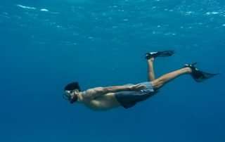 Some Cool Facts About Manta Rays You Should Know Before Snorkeling with Them in Kona
