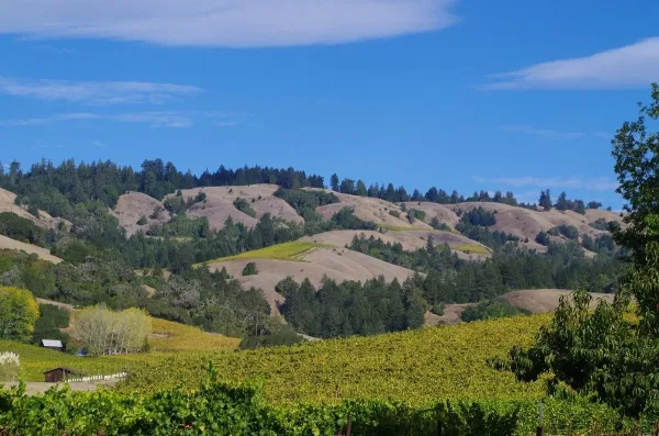 Philo, Northern California
