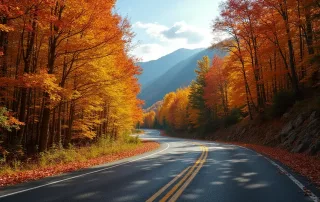 17 Best Fall Foliage Destinations in America (2025 Local Picks)