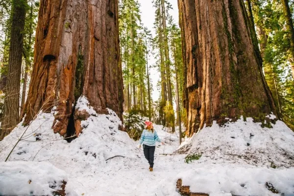 Arnold, weekend getaways in Bay Area