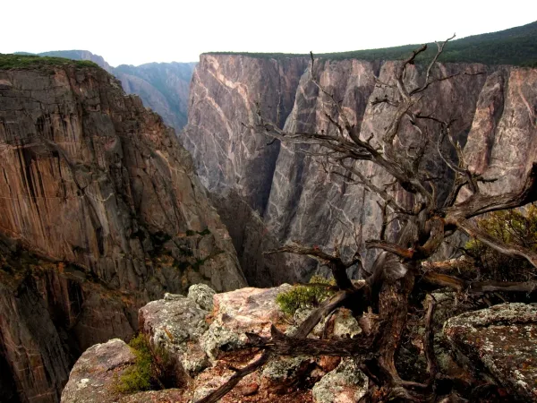 Black Canyon of the Gunnison
