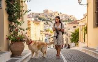 List of Things to Pack before Traveling with Your Dog to Athens