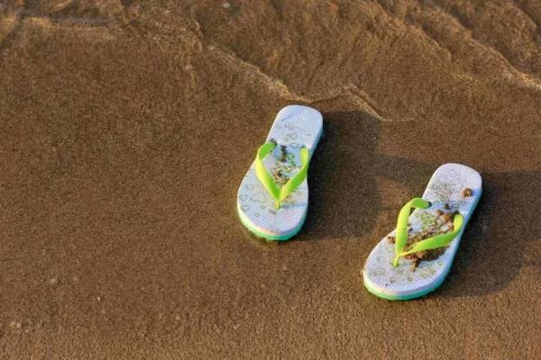 Flip-Flops or Sandals