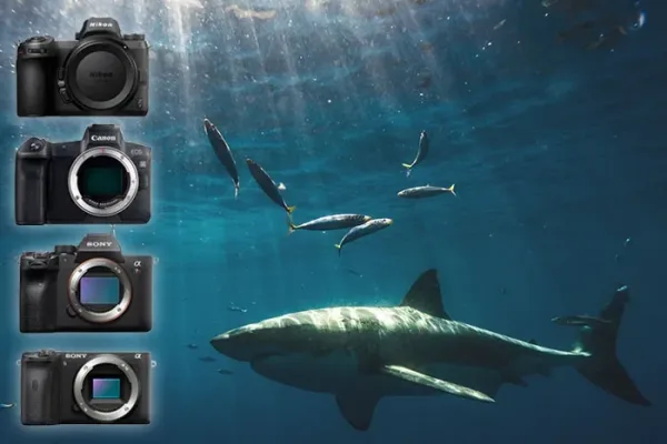 Underwater Camera or Waterproof Phone Case