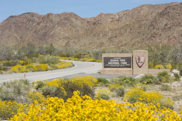 Joshua Tree National Park, weekend getaways from Las Vegas