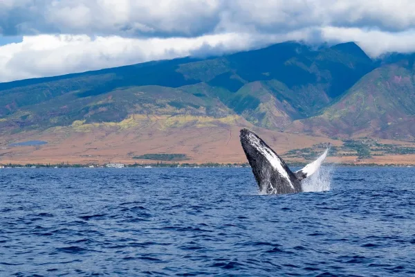 Maui, Hawaii