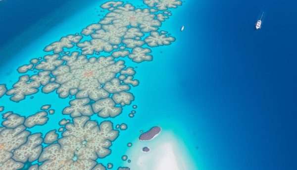 Aerial view of the Great Barrier Reef showing colorful coral formations and turquoise waters