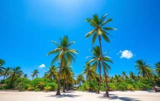 Indonesia's tropical climate with palm trees and beach on a sunny day