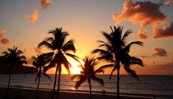Sunset over Waikiki Beach with silhouettes of palm trees - perfect ending image for our Oahu itinerary Sunset over Waikiki Beach with silhouettes of palm trees - perfect ending image for our Oahu itinerary