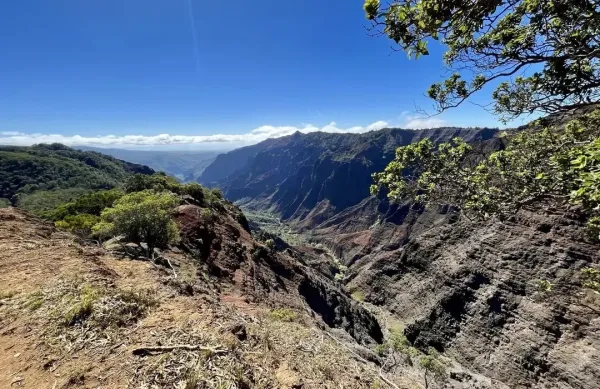 Day 3: Waimea Canyon and Scenic Hikes