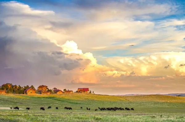 Zion Mountain Ranch (East Zion)