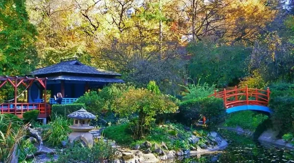 Wander the Botanical Garden, Cluj-Napoca