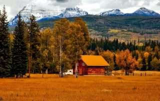 Brown Cabin Near Trees and Mountain