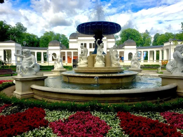 Relax in Central Park Simion Bărnuțiu, things to do in Cluj