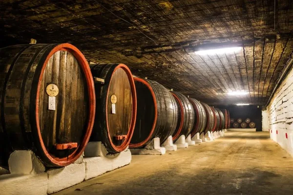 Cricova Winery