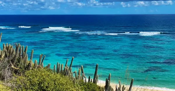 Isaac's Bay Beach