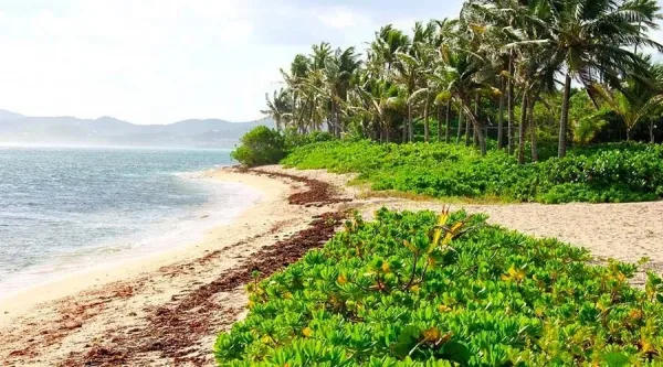 Pelican Cove Beach, best beaches in St. Croix