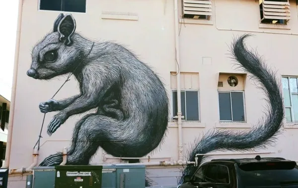 Discover the Art Murals in Denham Lane, Townsville