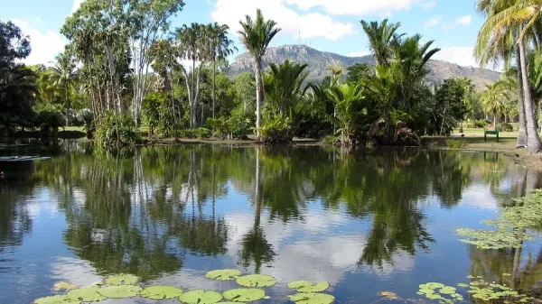 Explore the Palmetum Botanical Gardens, Townsville