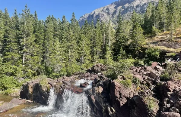 Redrock Falls Early Morning Moose Spotting