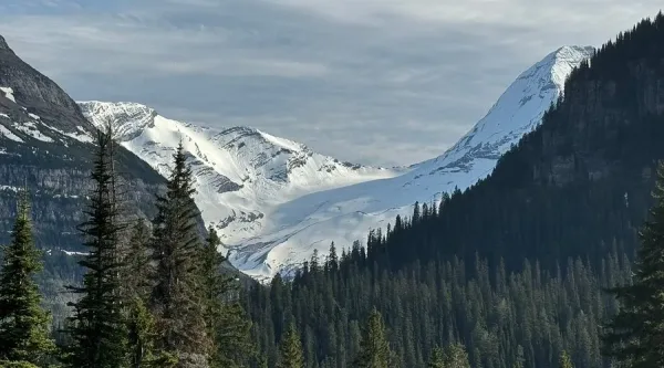 Photography Stop at Jackson Glacier Overlook