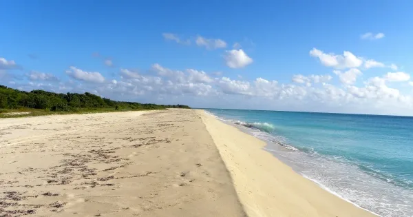 Sandy Point Beach, USVI