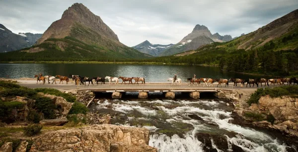 Horseback Ride from Many Glacier Corral, things to do in Glacier National Park
