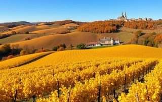 Panoramic view of Hungarian vineyards with rolling hills and traditional winery buildings