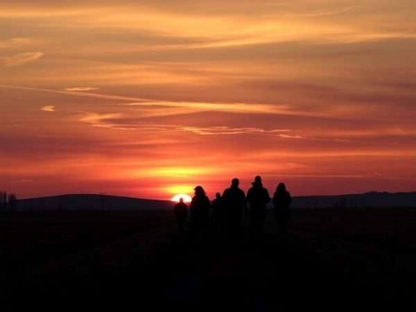 Silhouette of visitors against sunset over tulip fields at Skagit Valley Tulip Festival Silhouette of visitors against sunset over tulip fields at Skagit Valley Tulip Festival
