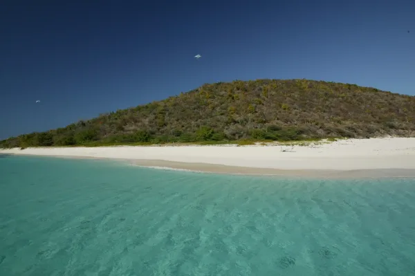 Buck Island, St. Croix