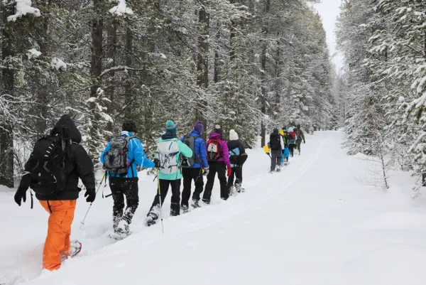 Winter Snowshoe Tour in Glacier National Park