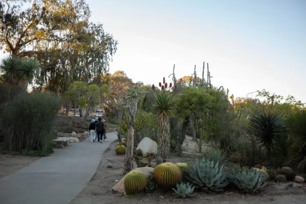 Desert Garden Exploration, Balboa Park