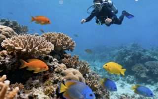 Best Diving Destinations Within 5 Hours from the UK