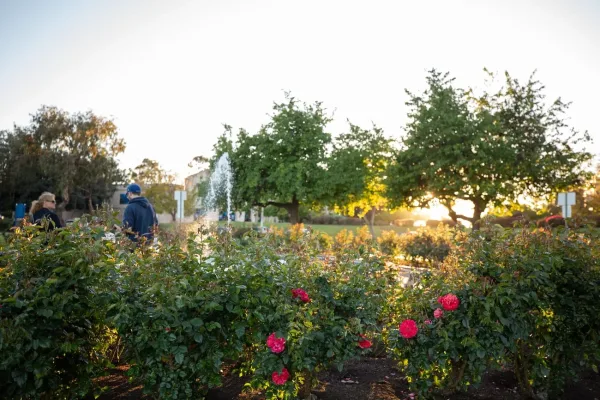 Timken Museum of Art, things to do in Balboa Park