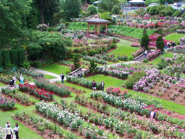 Picnic at the International Rose Test Garden, Date ideas in Portland